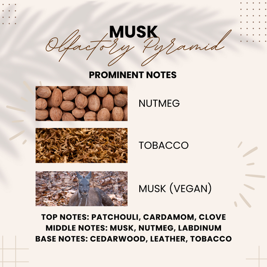Musk (Kasturi) | Musk, Olibanum & Leather Notes | Attar 10ml