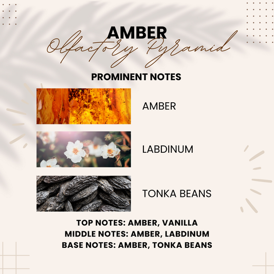 Amber | Sweet, Resinous, Mysterious | Attar 10ml