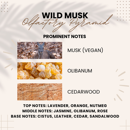 Wild Musk Attar | Musk, Olibanum & Leather Notes | 10ml