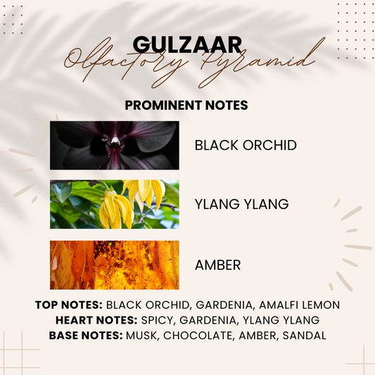 Gulzaar | Black Orchid, Ylang Ylang & Amber | Attar 10ml