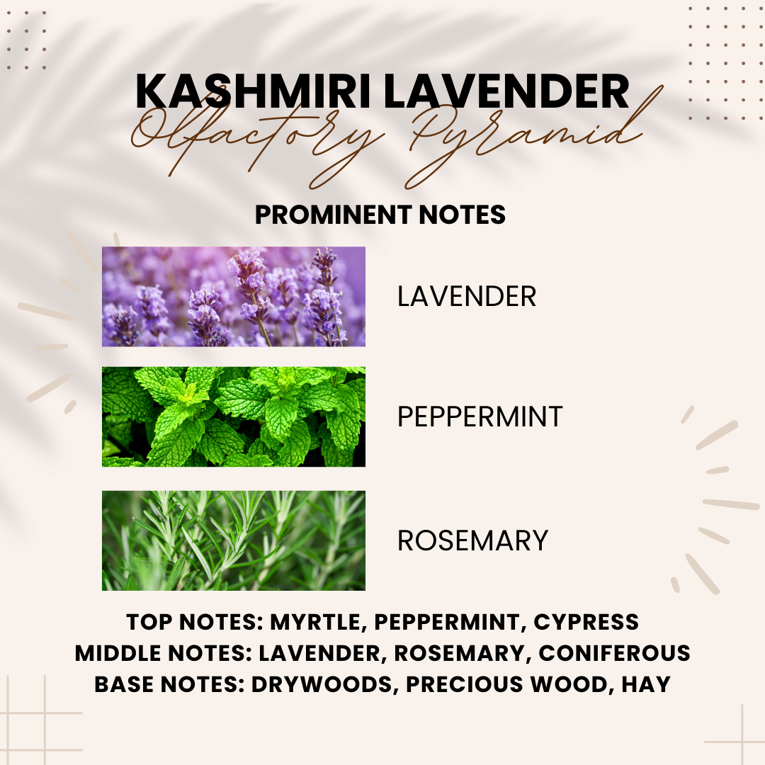 Kashmiri Lavender | Fresh, Camphor-like, Herbaceous | Attar 10ml
