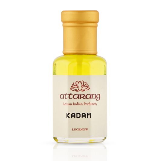 Kadam | Kadambha, Burflower Tree | Attar 10ml