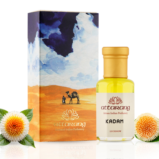Kadam | Kadambha, Burflower Tree | Attar 10ml