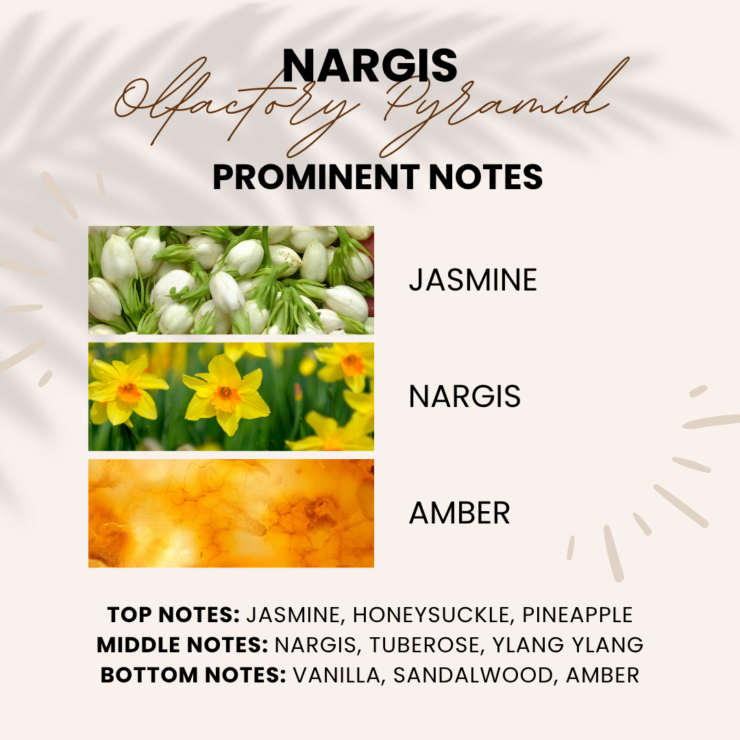 Nargis Attar | Plumeria, Champa, Daffodil | Attar 10ml