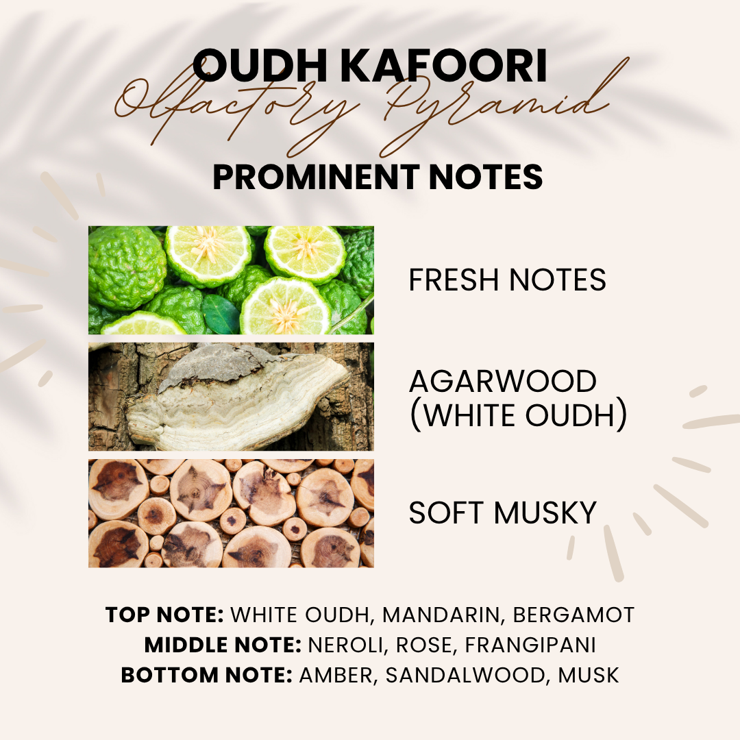 Oudh Kafoori | White Oudh & Rose | Attar 10ml