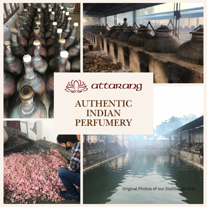 Coffee Attar | Cocoa, Mocha, Chocolate | Attar 10ml