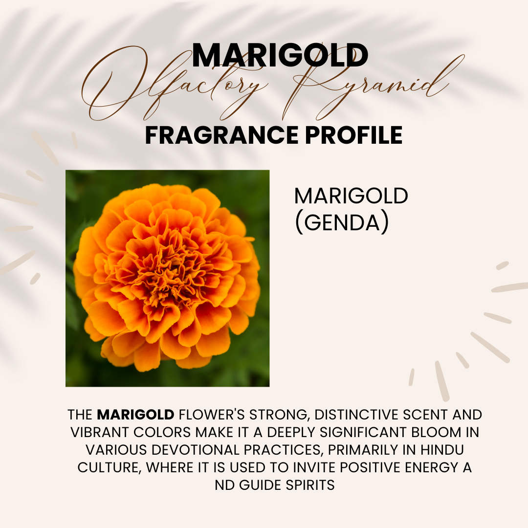 Marigold Attar | Genda | Attar 10ml