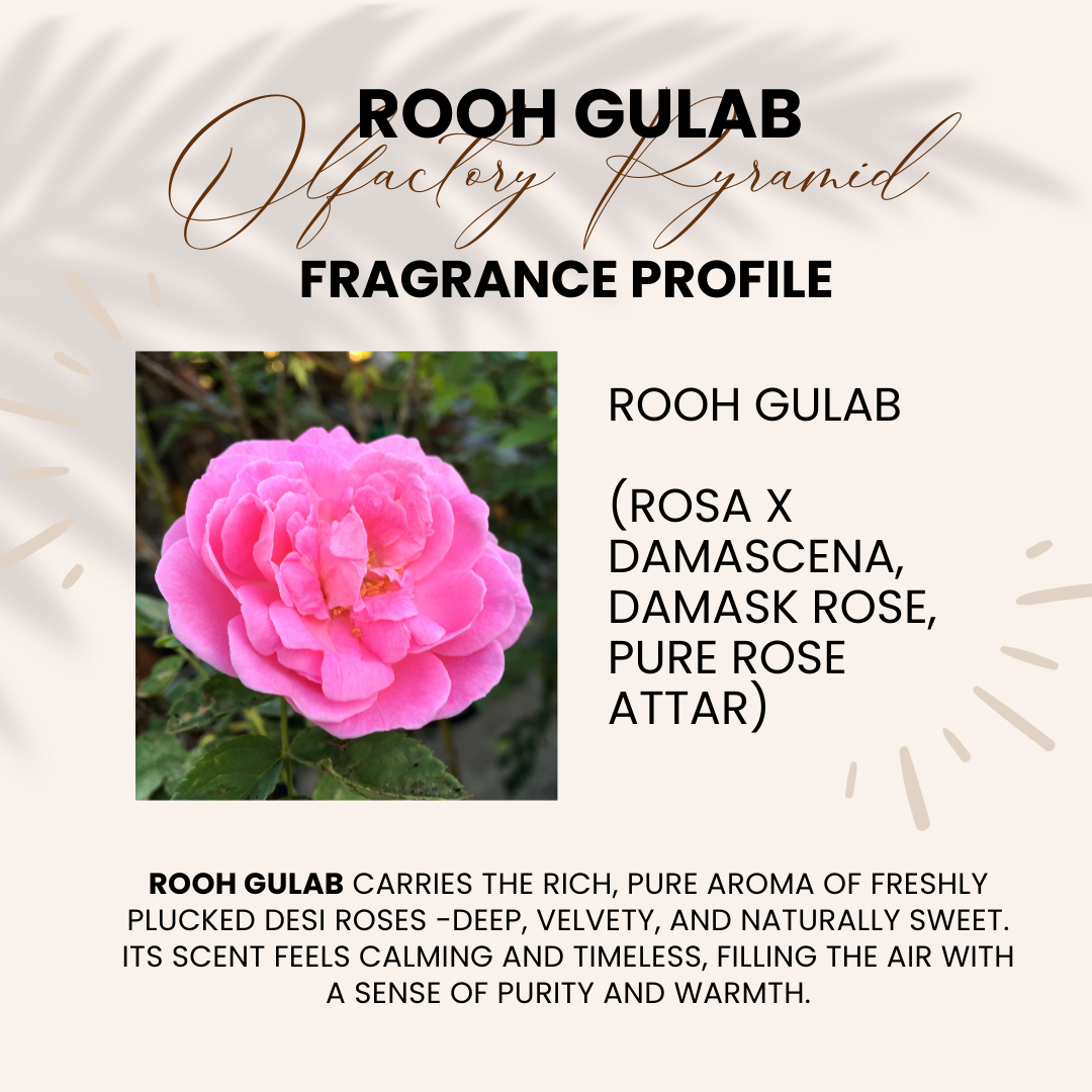 Rooh Gulab | Pure Rose, Rosa x damascena | Attar 10ml