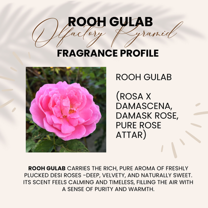 Rooh Gulab | Pure Rose, Rosa x damascena | Attar 10ml