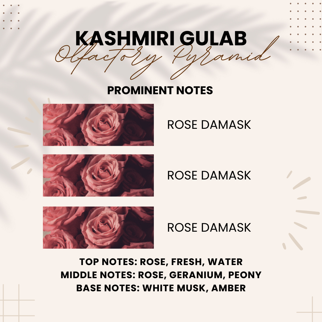 Kashmiri Gulab | Rosa × damascena, Rose | Attar 10ml