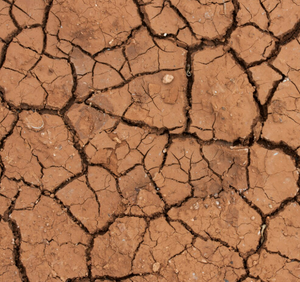 Dry soil