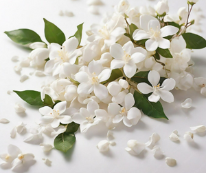 White Musk