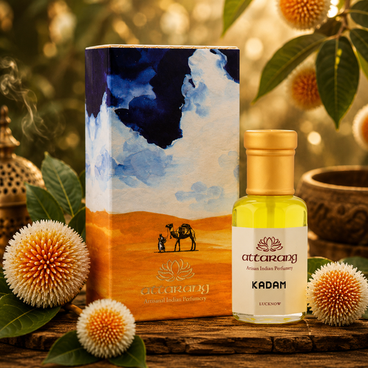 Kadam | Kadambha, Burflower Tree | Attar 10ml