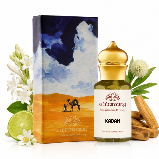Kadam | Kadambha, Burflower Tree | Attar 10ml