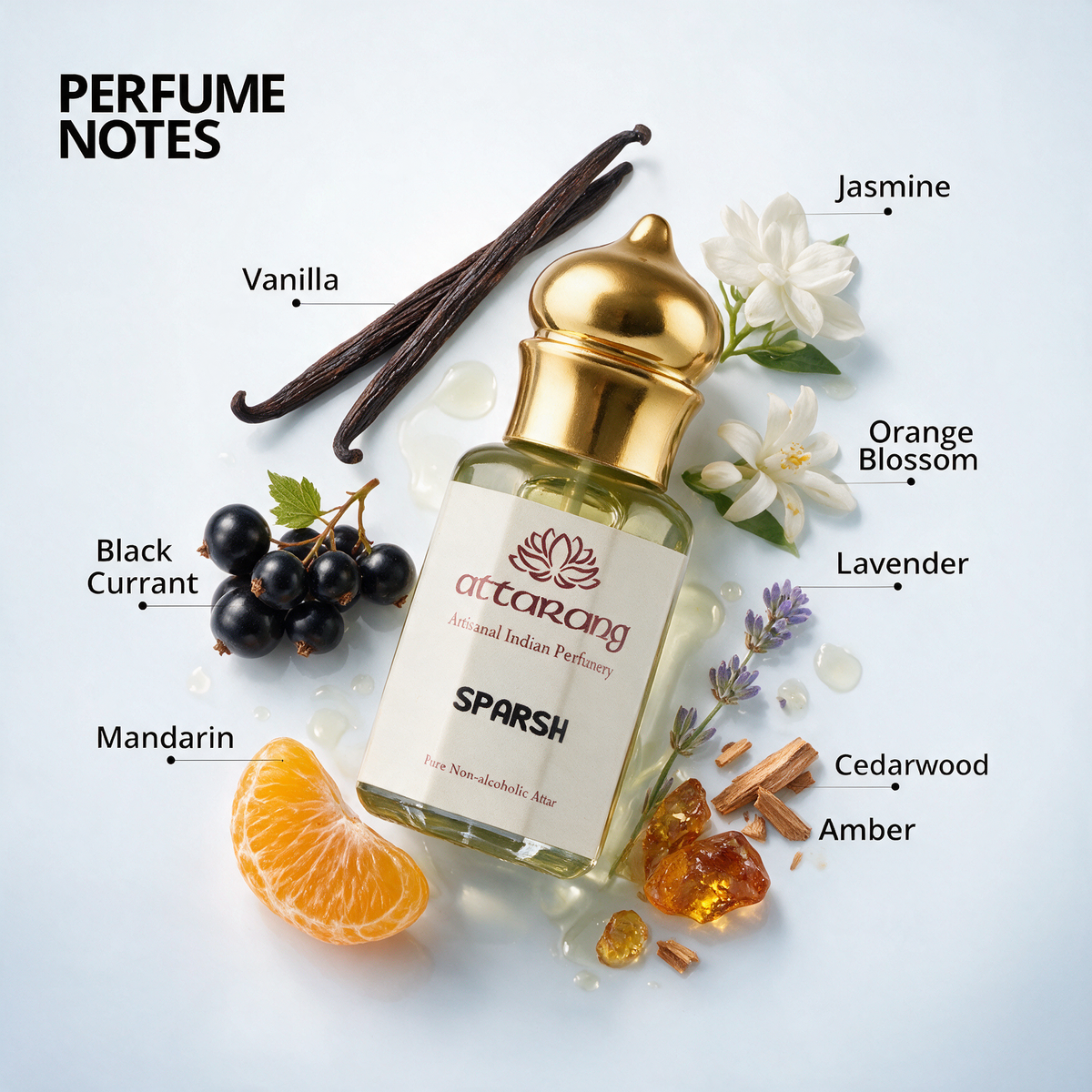 Sparsh | Vanilla, Black Currant, Mandarin | Attar 10ml
